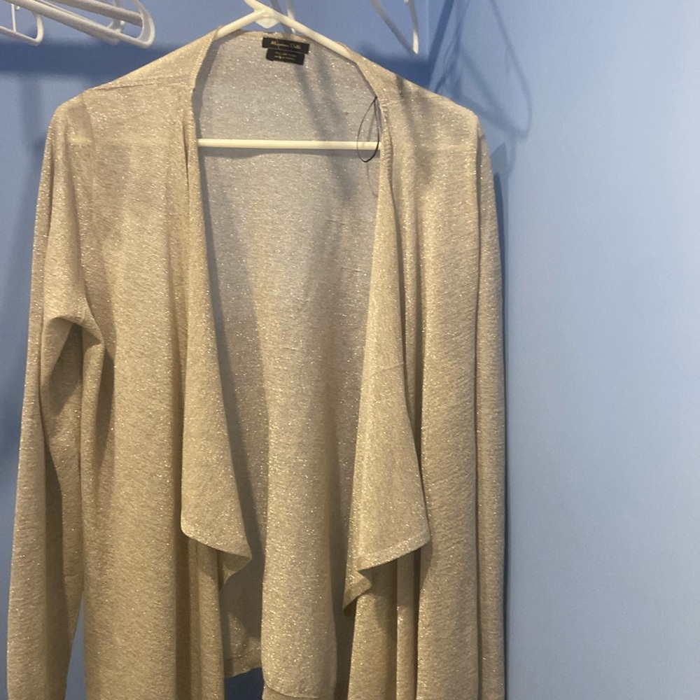 Massimo Dutti sparkle silver sweater